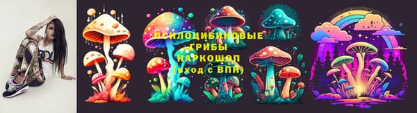 2c-b Переславль-Залесский