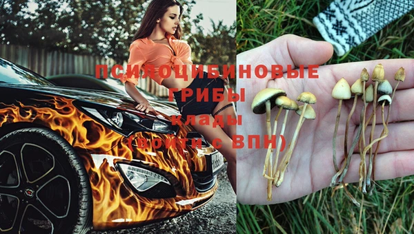 2c-b Переславль-Залесский