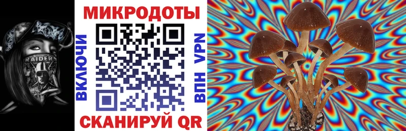 Галлюциногенные грибы мицелий  darknet как зайти  Новосиль 